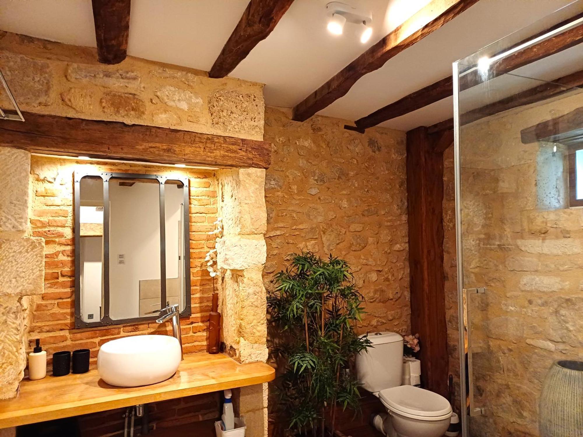 Au Pied Du Chateau - 5 A 11 Personnes - Baignade-Canoe-Piste Cyclable A 100 M 卡斯泰尔诺拉沙佩尔 外观 照片