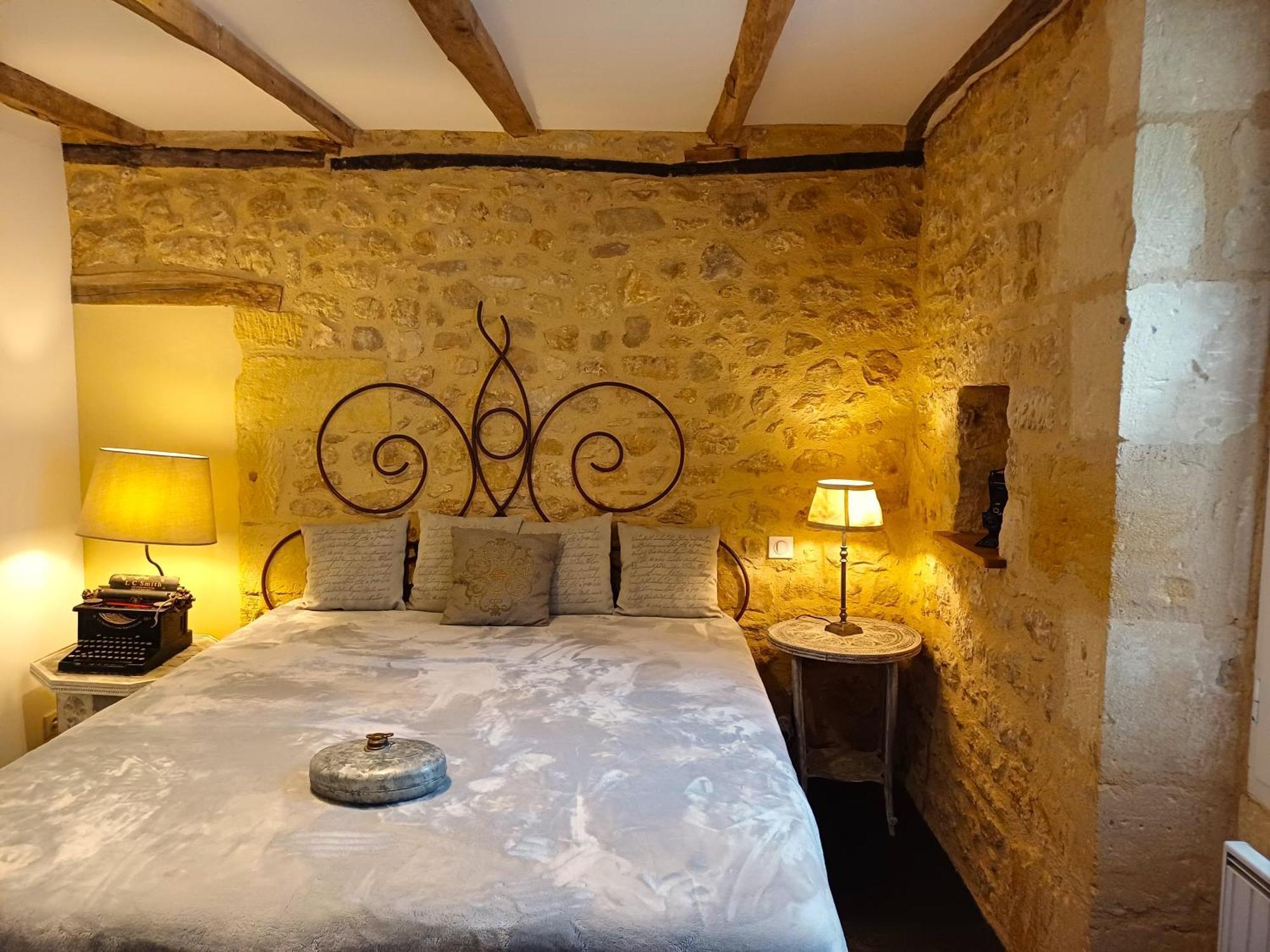 Au Pied Du Chateau - 5 A 11 Personnes - Baignade-Canoe-Piste Cyclable A 100 M 卡斯泰尔诺拉沙佩尔 外观 照片