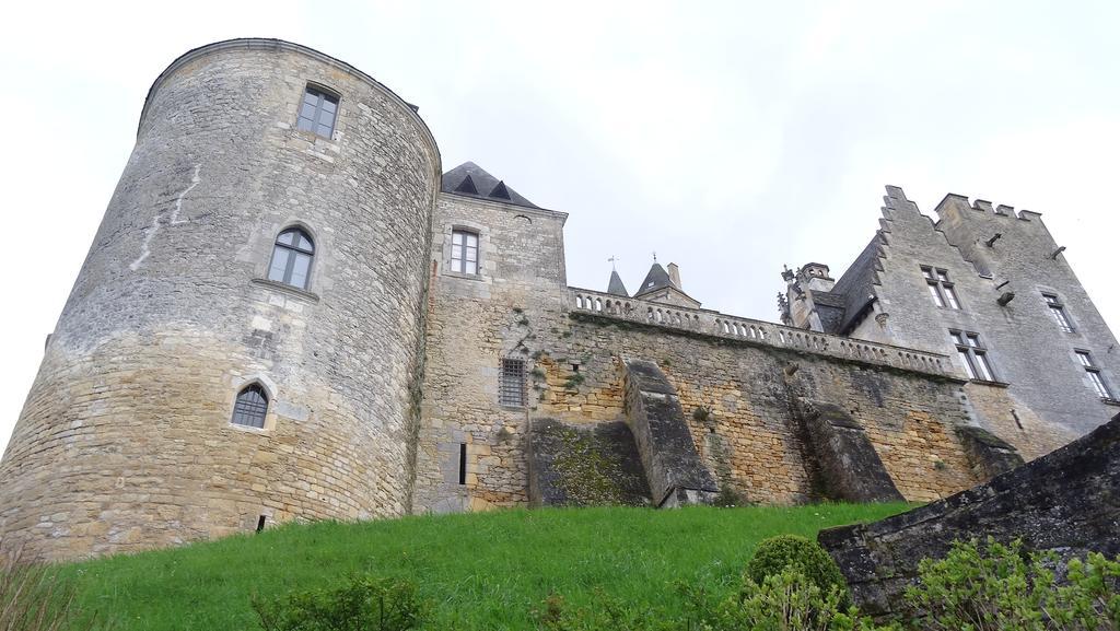 Au Pied Du Chateau - 5 A 11 Personnes - Baignade-Canoe-Piste Cyclable A 100 M 卡斯泰尔诺拉沙佩尔 客房 照片