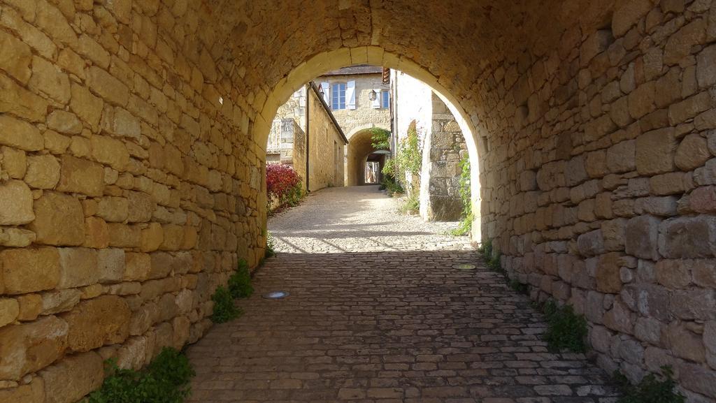 Au Pied Du Chateau - 5 A 11 Personnes - Baignade-Canoe-Piste Cyclable A 100 M 卡斯泰尔诺拉沙佩尔 外观 照片