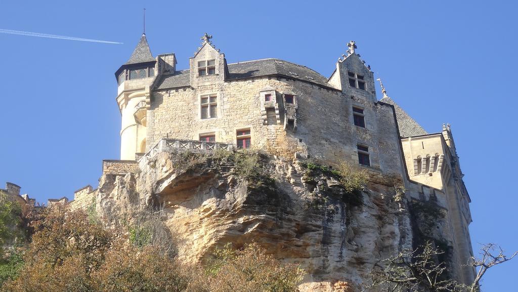 Au Pied Du Chateau - 5 A 11 Personnes - Baignade-Canoe-Piste Cyclable A 100 M 卡斯泰尔诺拉沙佩尔 外观 照片