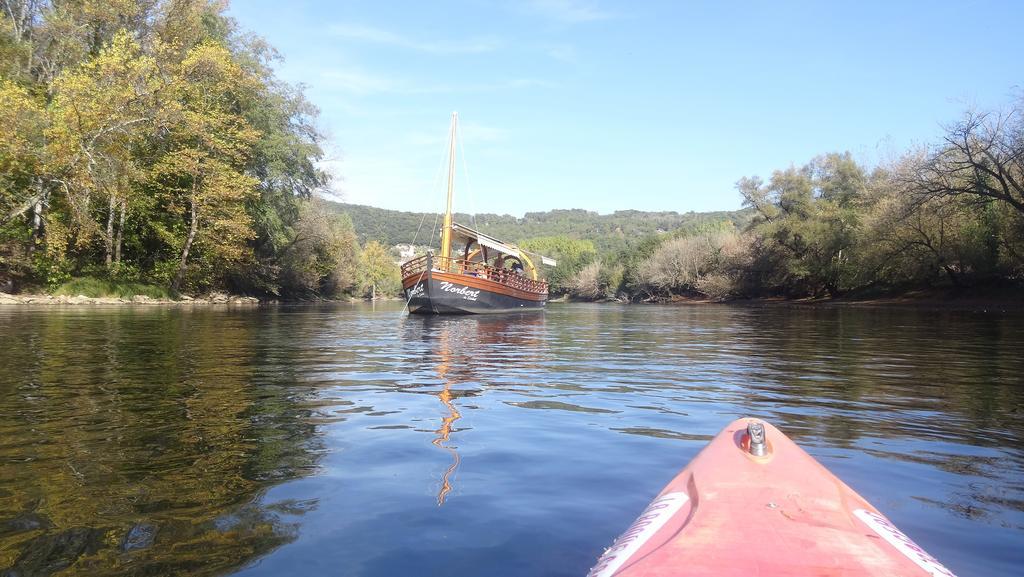 Au Pied Du Chateau - 5 A 11 Personnes - Baignade-Canoe-Piste Cyclable A 100 M 卡斯泰尔诺拉沙佩尔 外观 照片