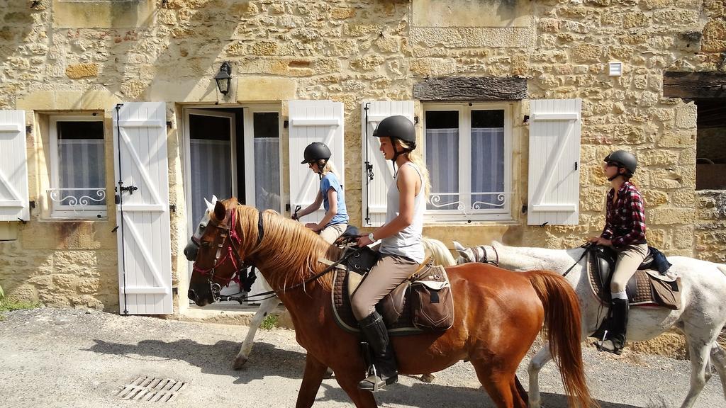 Au Pied Du Chateau - 5 A 11 Personnes - Baignade-Canoe-Piste Cyclable A 100 M 卡斯泰尔诺拉沙佩尔 外观 照片