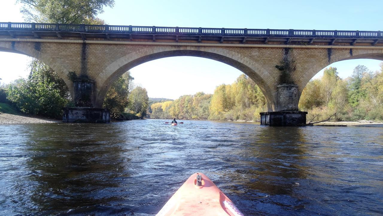 Au Pied Du Chateau - 5 A 11 Personnes - Baignade-Canoe-Piste Cyclable A 100 M 卡斯泰尔诺拉沙佩尔 外观 照片